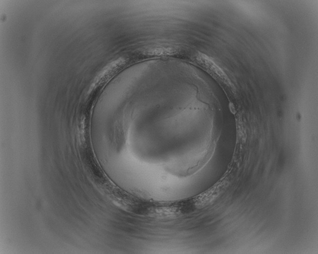 X0000076090163200610061650