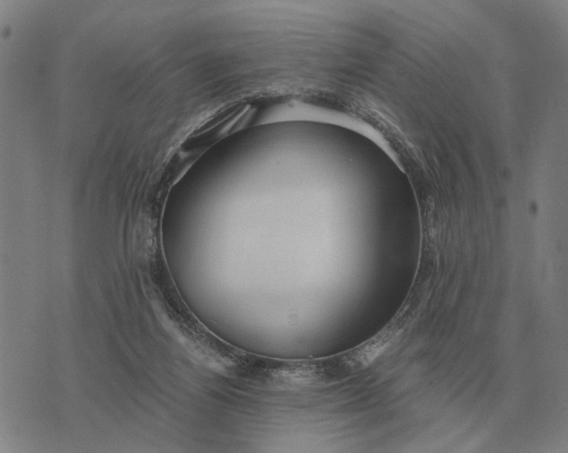 X0000076090164200610061650