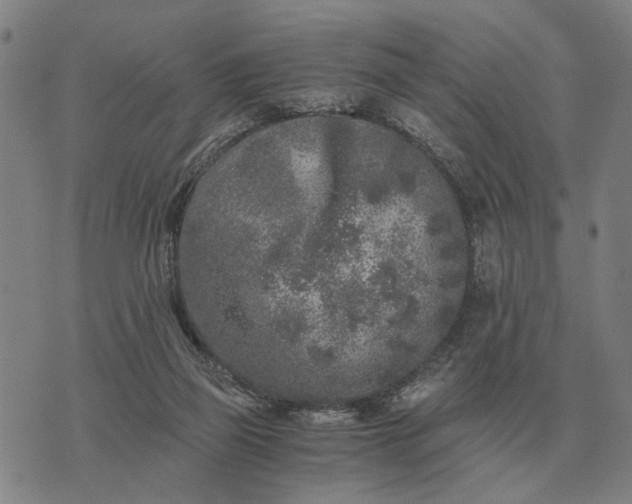 X0000076090165200610061650