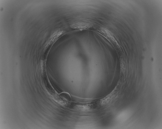 X0000076090167200610061650