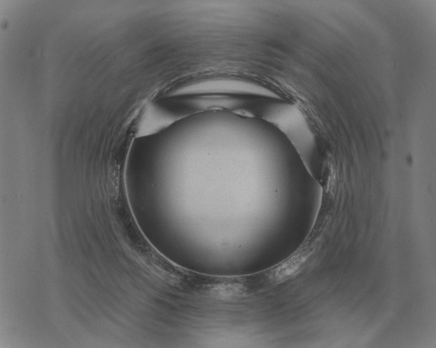 X0000076090168200610061650