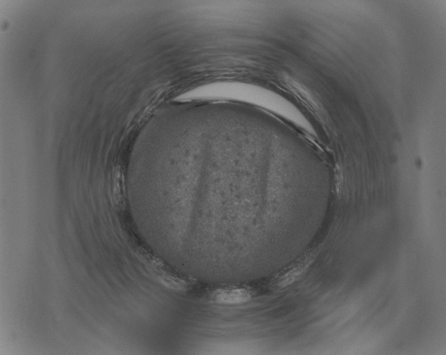 X0000076090169200610061650