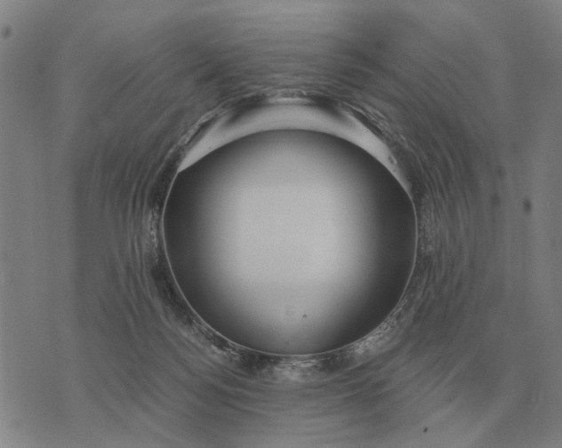 X0000076090172200610061650