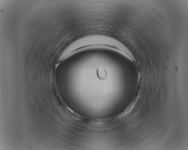 X0000076090174200610061650