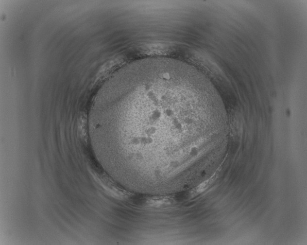 X0000076090175200610061650