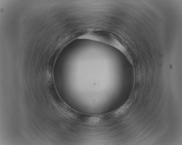 X0000076090176200610061650