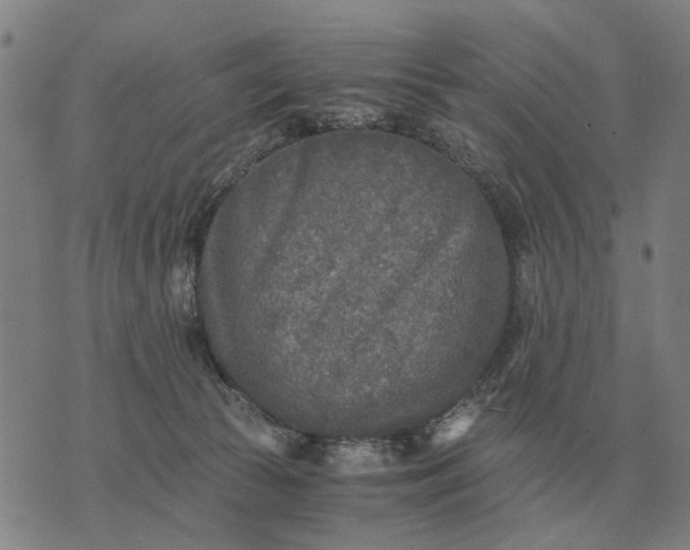 X0000076090177200610061650