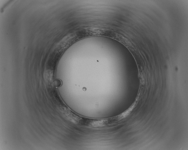 X0000076090178200610061650