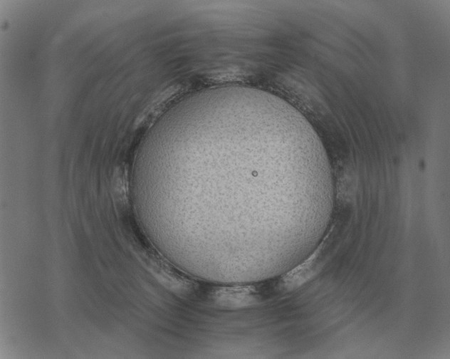 X0000076090179200610061650