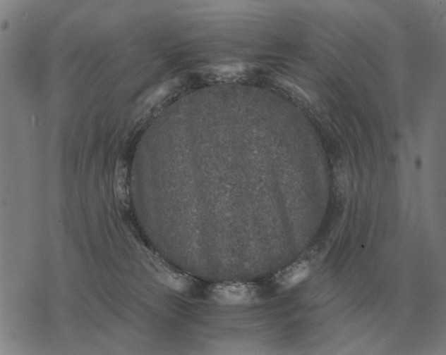 X0000076090181200610061650