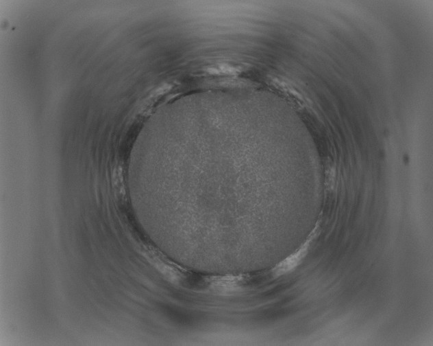 X0000076090182200610061650