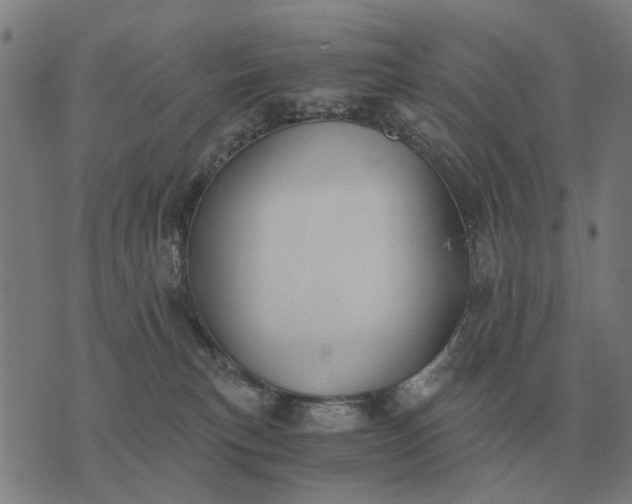 X0000076090183200610061650