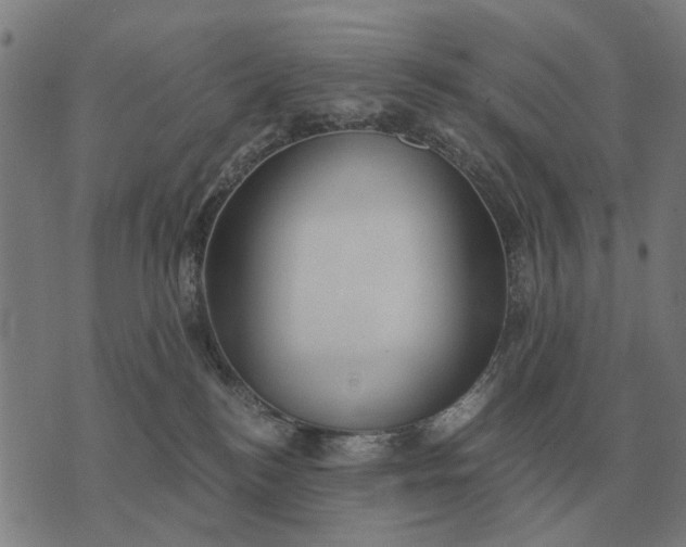 X0000076090184200610061650