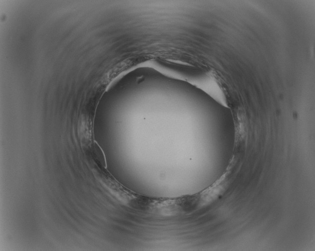 X0000076090186200610061650