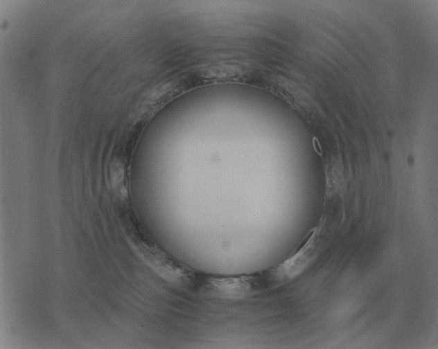 X0000076090187200610061650