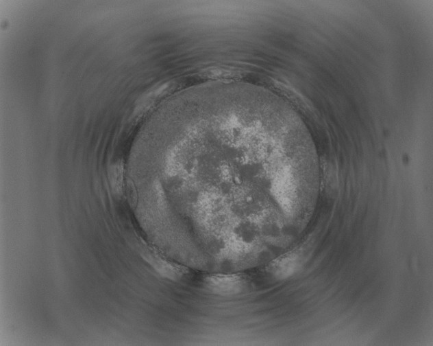 X0000076090189200610061650