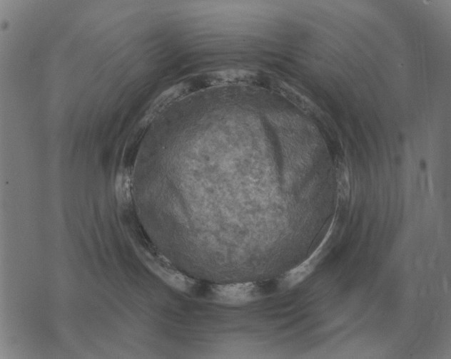 X0000076090191200610061650