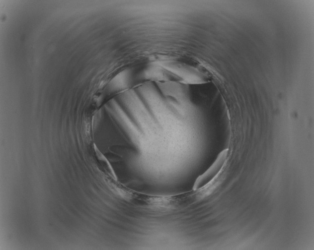 X0000076090192200610061650