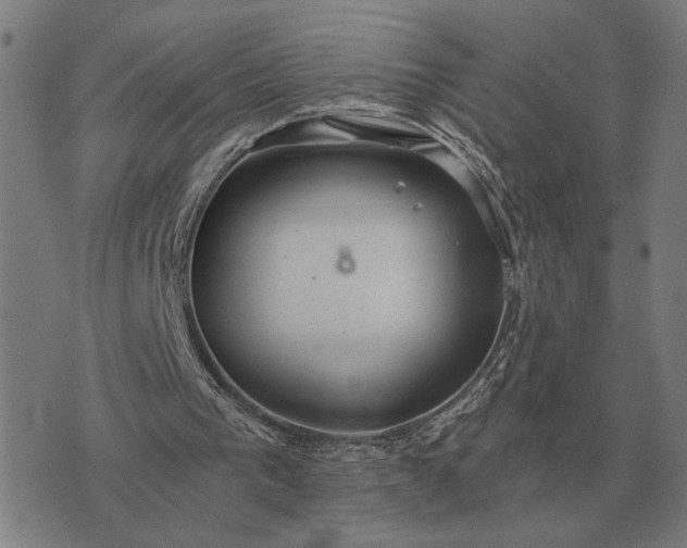 X0000076090193200610061649