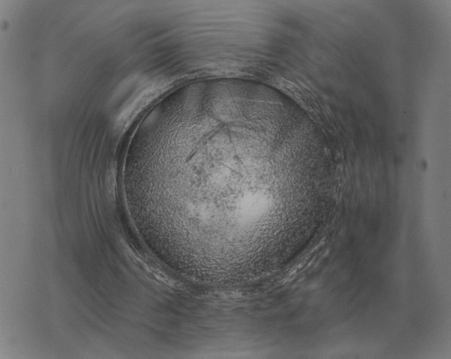 X0000076090194200610061649