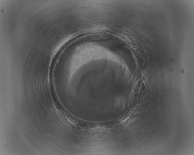 X0000076090196200610061649