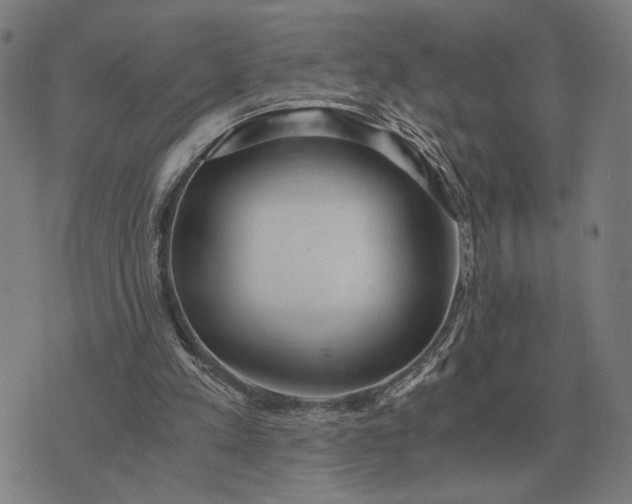 X0000076090197200610061649