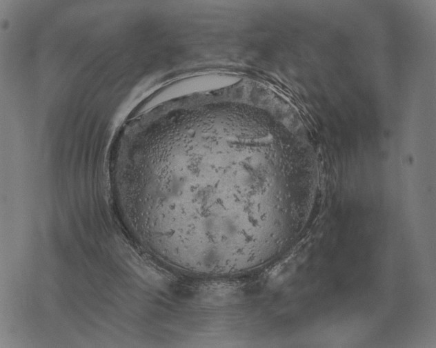 X0000076090198200610061649