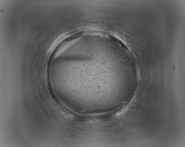 X0000076090199200610061649