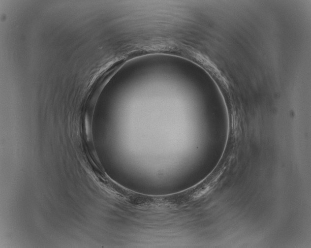 X0000076090201200610061649