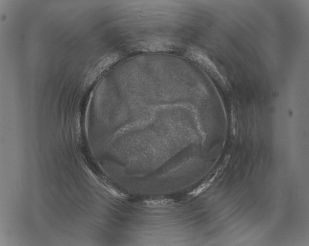 X0000076090202200610061649