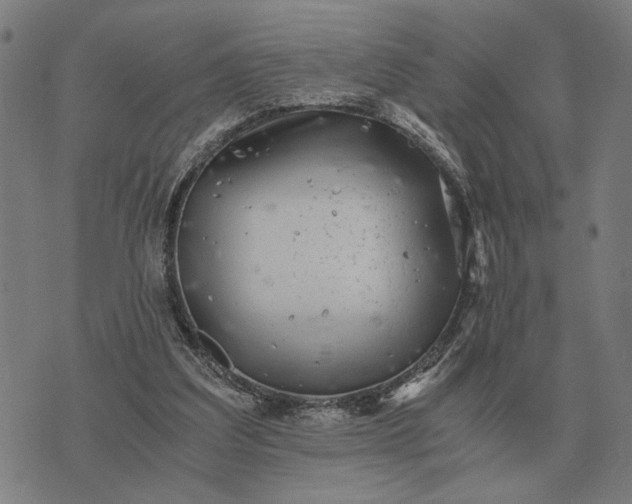 X0000076090203200610061649