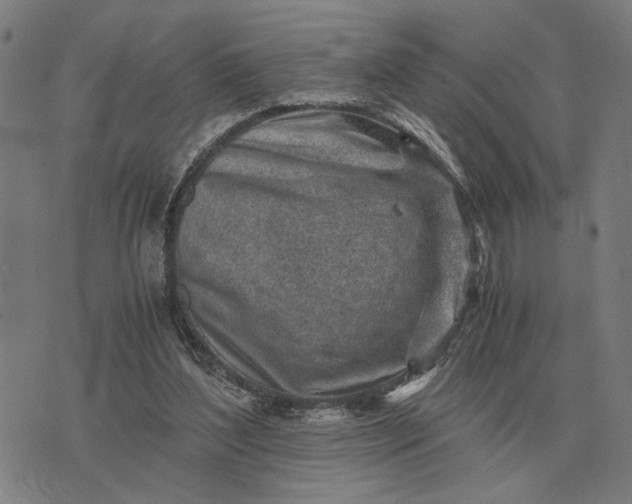 X0000076090204200610061649