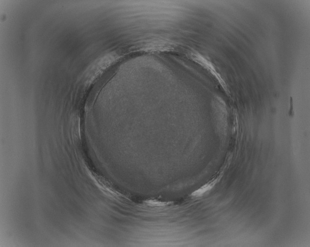 X0000076090205200610061649