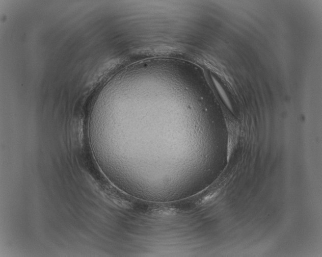 X0000076090206200610061649