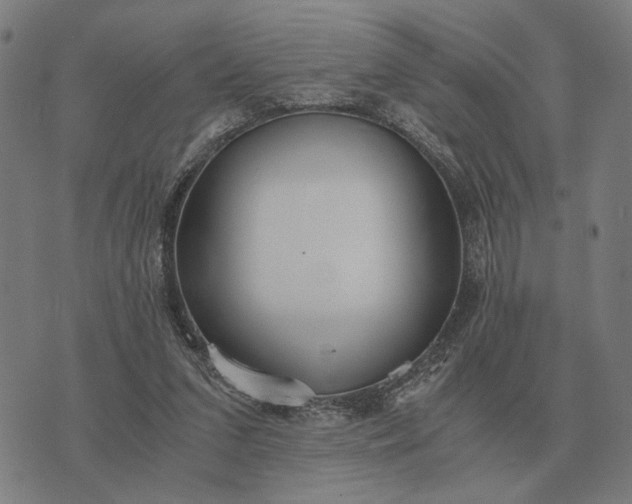 X0000076090207200610061649