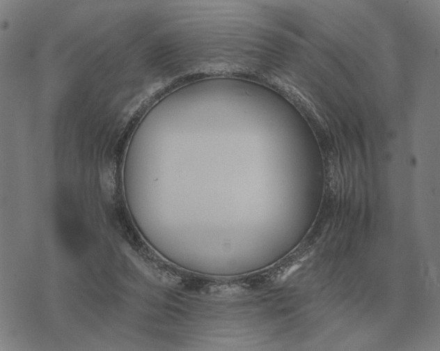 X0000076090208200610061649