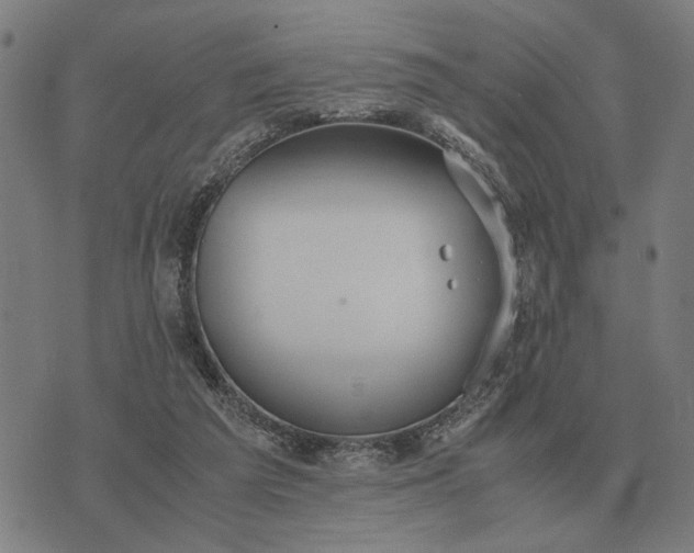 X0000076090209200610061649