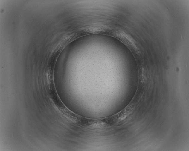 X0000076090210200610061649