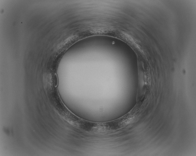 X0000076090211200610061649