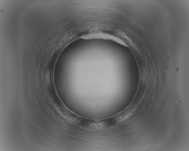 X0000076090213200610061649