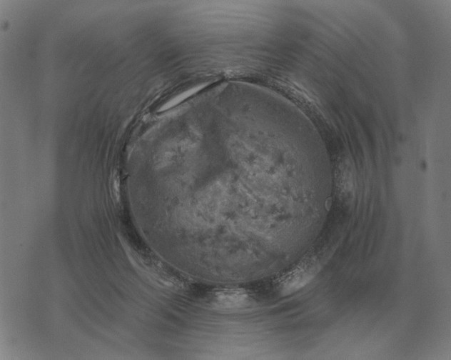 X0000076090214200610061649