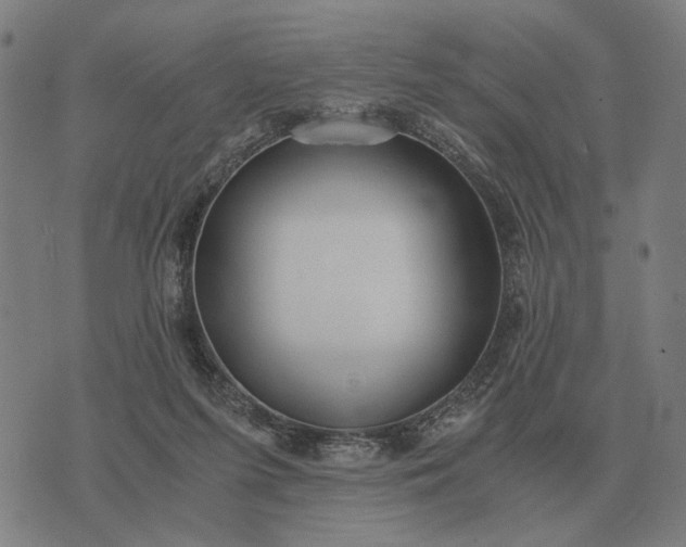 X0000076090215200610061649