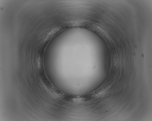 X0000076090216200610061649