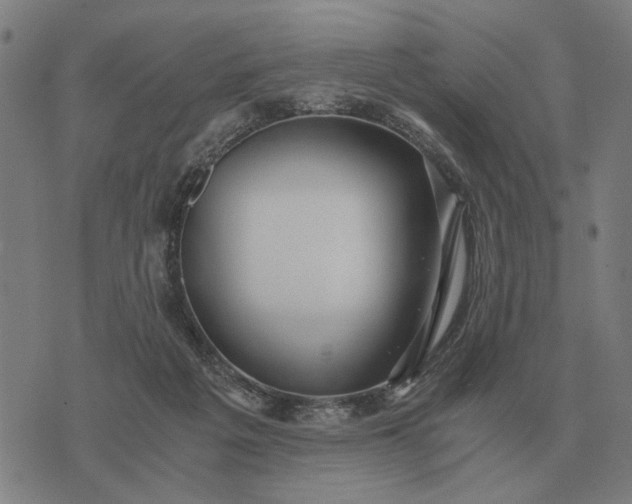 X0000076090217200610061649