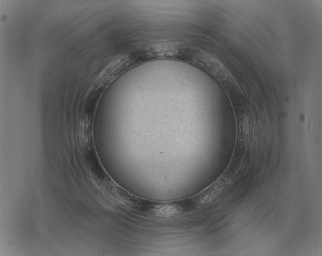 X0000076090218200610061649