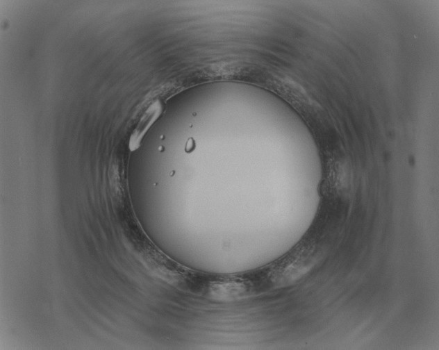 X0000076090220200610061649