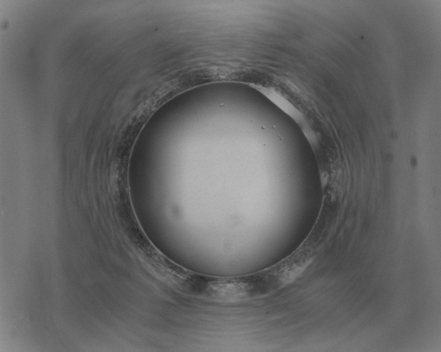 X0000076090221200610061649