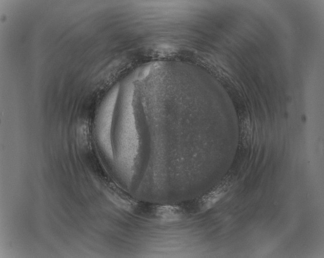 X0000076090222200610061649