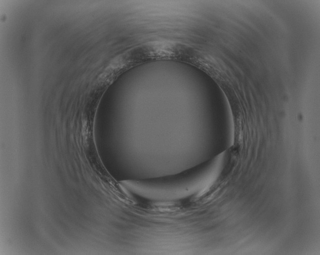 X0000076090223200610061649