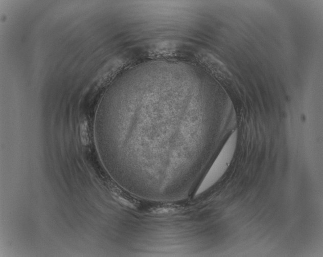 X0000076090224200610061649